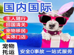 三沙机场快运国际宠物托运 【国